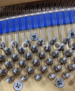 KAWAI KG-1E PE