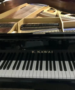 KAWAI KG-2E