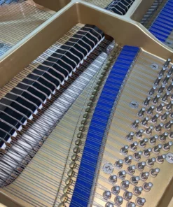 KAWAI KG-3 PE