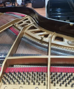 KAWAI KG-3 PE