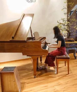 KAWAI KG-2C WN