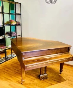 KAWAI KG-2C WN