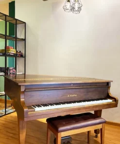 KAWAI KG-2C WN