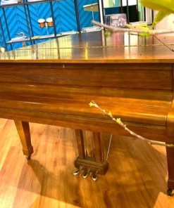 KAWAI KG-2C WN