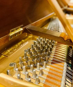 KAWAI KG-2C WN