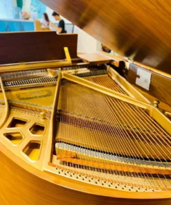 KAWAI KG-2C WN