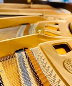 KAWAI KG-2C WN
