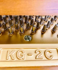 KAWAI KG-2C WN