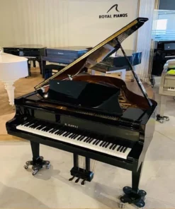 KAWAI KG-2D PE
