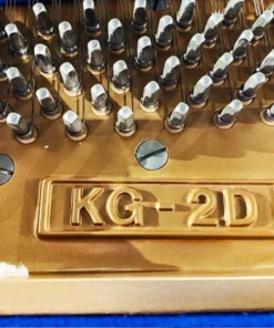 KAWAI KG-2D PE