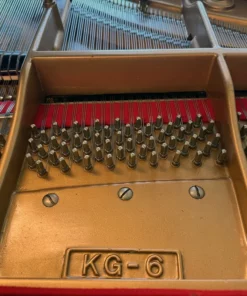 KAWAI KG-6