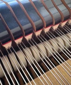 KAWAI KG-6