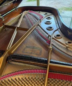 KAWAI KG-6