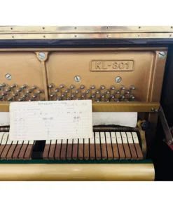KAWAI KL-801