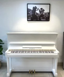 KAWAI KS1 WH