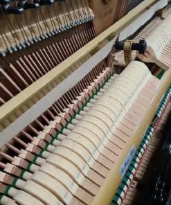 KAWAI KS3F