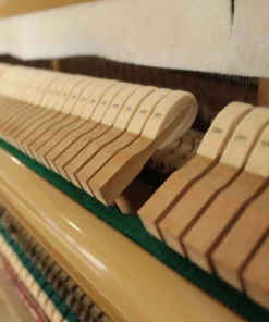 KAWAI KS5F