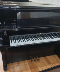 KAWAI KU5D