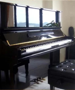 KAWAI KX21