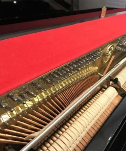 KAWAI KX21