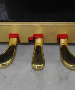 KAWAI NS-10M