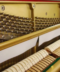 KAWAI NS-10M