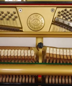KAWAI NS-10M
