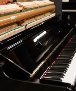 KAWAI NS-35