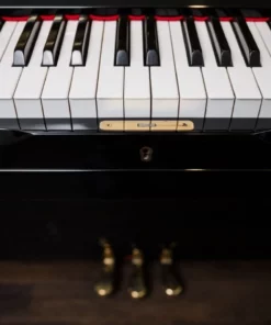 KAWAI NS-35
