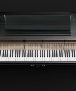 KAWAI NV10 Hybrid (USED)