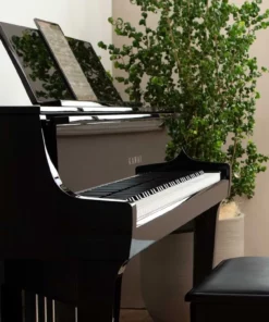 KAWAI NV10 Hybrid