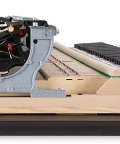 KAWAI NV10S Hybrid