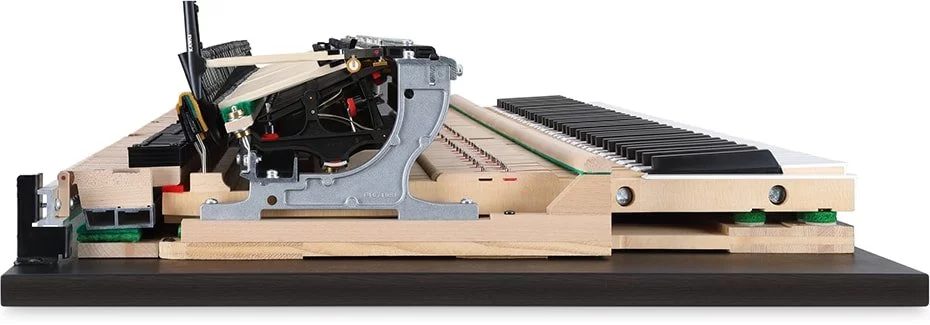 KAWAI NV10S Hybrid - Elite Piano