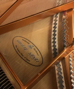 Shigeru Kawai  SK-2