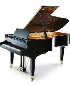 Shigeru Kawai  SK-6