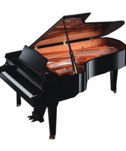 Shigeru Kawai  SK-6