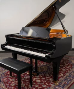 Shigeru Kawai  SK-6