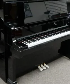 KAWAI US-65