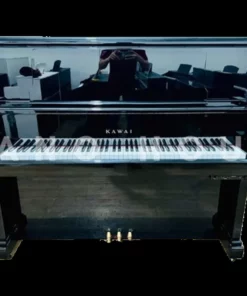 KAWAI US-65