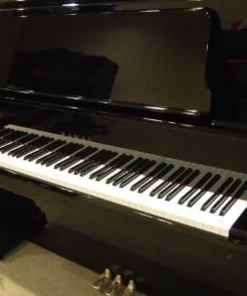 KAWAI US-8X