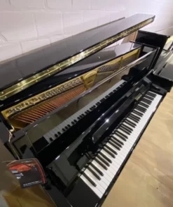 Konzert K125 Tradition