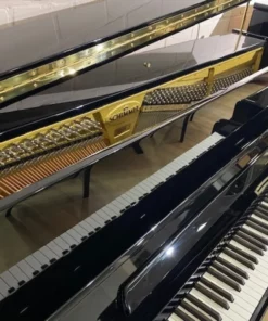 Konzert K125 Tradition
