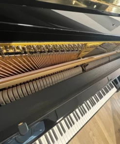 Konzert K132 Tradition (Mahogany Polish)