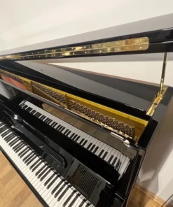 Konzert K132 Tradition