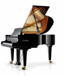 Konzert K175 Tradition