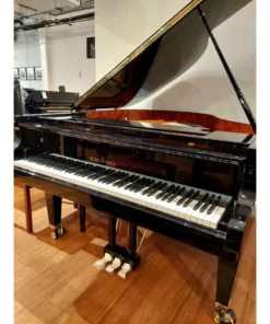 Konzert K175 Tradition