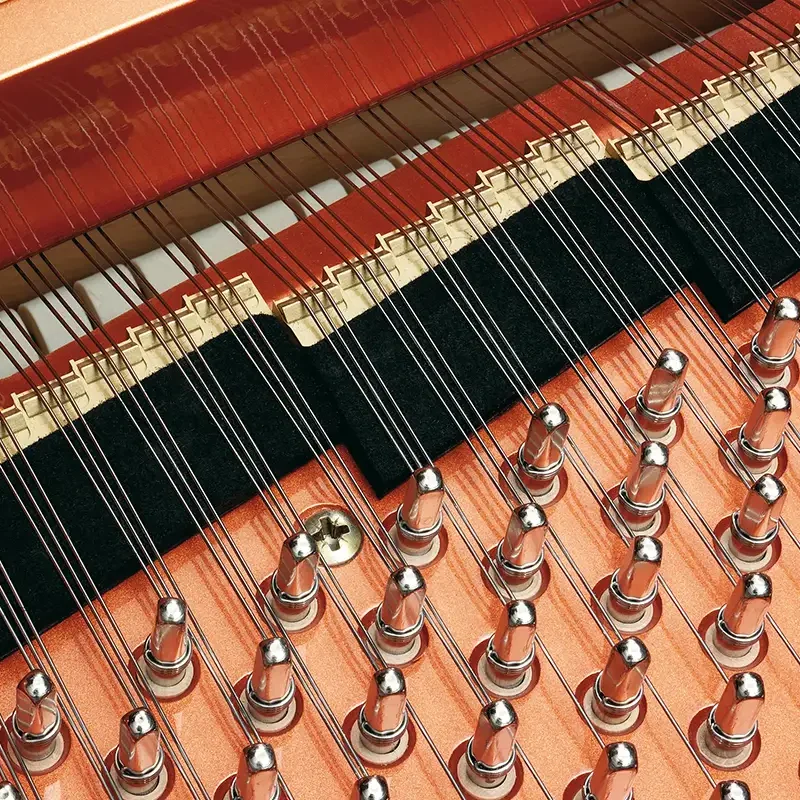 Review Konzert K175 Tradition – Hình ảnh thực tế tại showroom Elite Piano