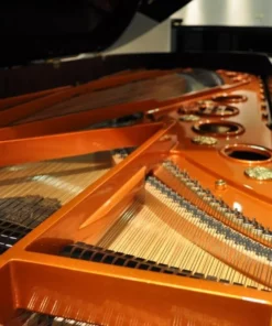Konzert K175 Tradition