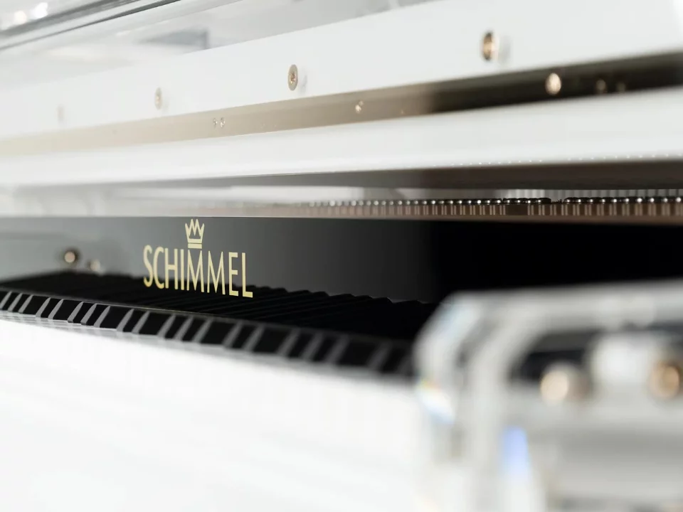 Schimmel K213 Glas