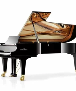 Konzert K280 Tradition